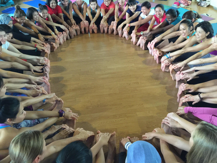 Level Up Package: L2 + Inner Circle Membership - RainbowYogaTraining