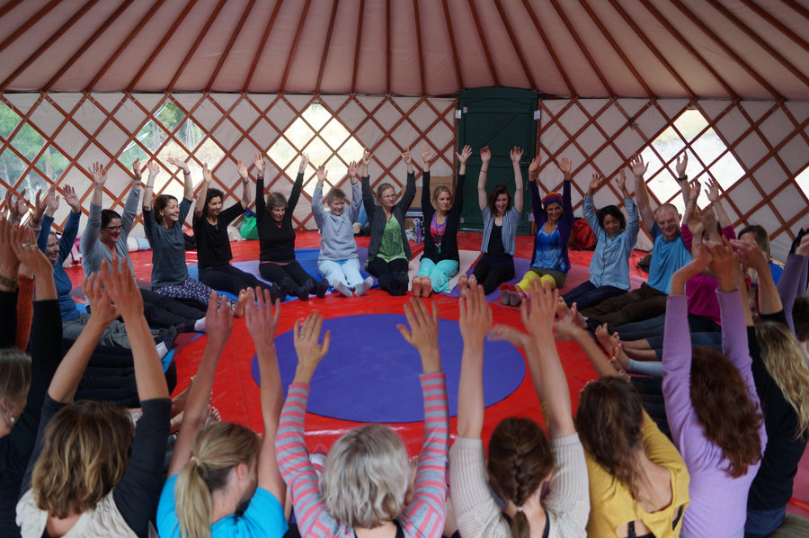 Level Up Package: L2 + Inner Circle Membership - RainbowYogaTraining
